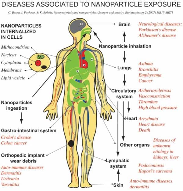 toxins-and-my-health-just-what-do-toxins-do-to-affect-my-health